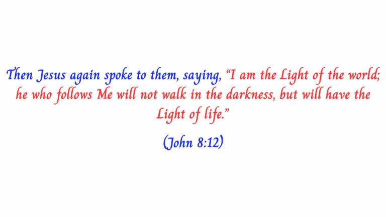 John 8vs12